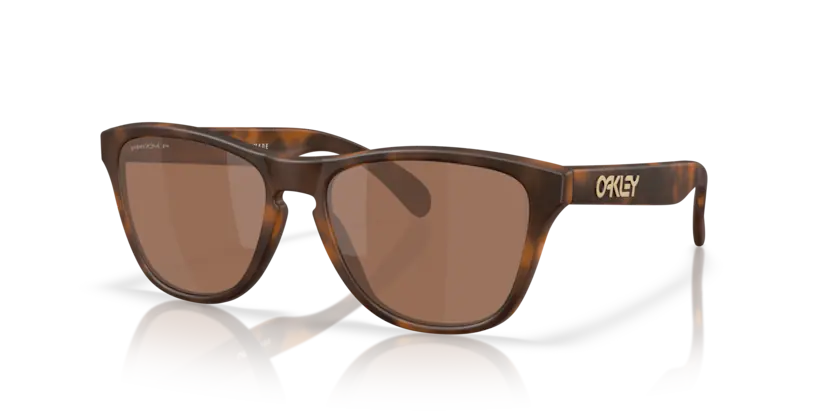 Mắt Kính Oakley • Đại lý uỷ quyền chính hãng!